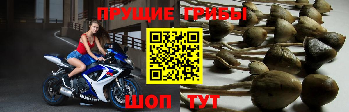 Сыктывкар  Галлюциногенные грибы мухоморы  Вход с VPN 